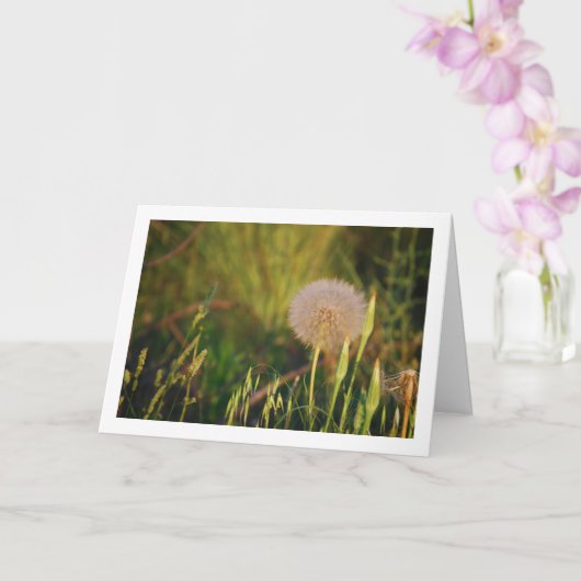 西サルシフィスプラントカード カード (蘭)