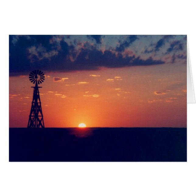 西サンセット (正面横)