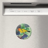 西タネガー磁石 マグネット (インサイチュ (食洗機))