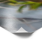 西タネガー フォトプリント            (角)