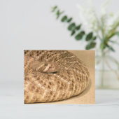 西ダイヤモンドバックラトルズナーク ポストカード (スタンド正面)