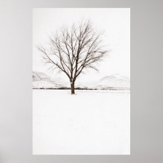 西テキサス州ブリザール ポスター