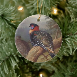 西トラゴパン、バードイラスト セラミックオーナメント