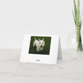 西ハイランドのテリアー·ワンピー·ドッグ·カードをありがとう サンキューカード (裏面)