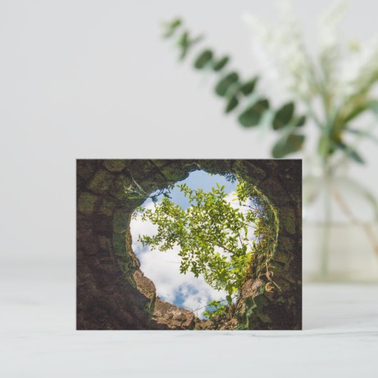 西バージニア州コケタウンコークス炉の遺跡 ポストカード (スタンド正面)