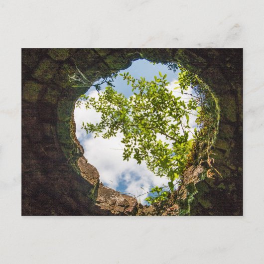 西バージニア州コケタウンコークス炉の遺跡 ポストカード (正面)