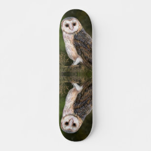 西バーンフクロウミグンド水彩絵画ズ スケートボード