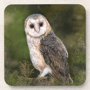 西バーンフクロウミグンド水絵画彩画 コースター