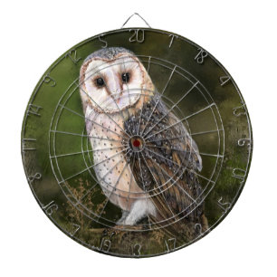 西バーンフクロウミグンド水絵画彩画 ダーツボード