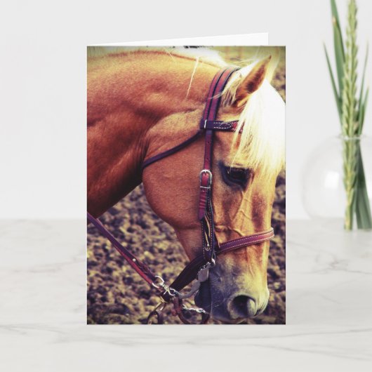 西パロミノ カード (正面)