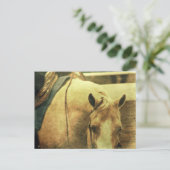 西パロミノ ポストカード (スタンド正面)