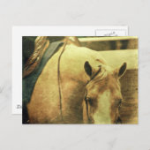 西パロミノ ポストカード (正面/裏面)