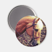 西パロミノ マグネット (正面/裏面)