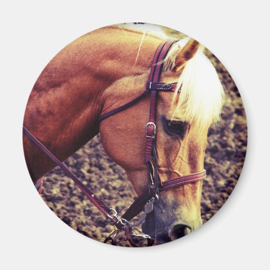 西パロミノ マグネット (正面)