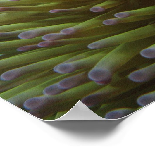 西ピエロ目 ポスター (角)