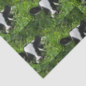 西ファームランチホルスタインカーフイングラス 薄葉紙 (詳細)