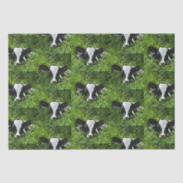 西ファームランチホルスタインカーフイングラス 薄葉紙