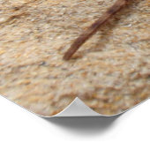 西フェンスリザード ポスター (角)