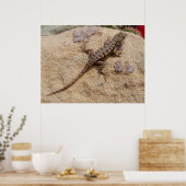 西フェンスリザード ポスター (キッチン)