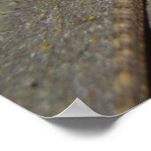 西フェンスリザード ポスター (角)