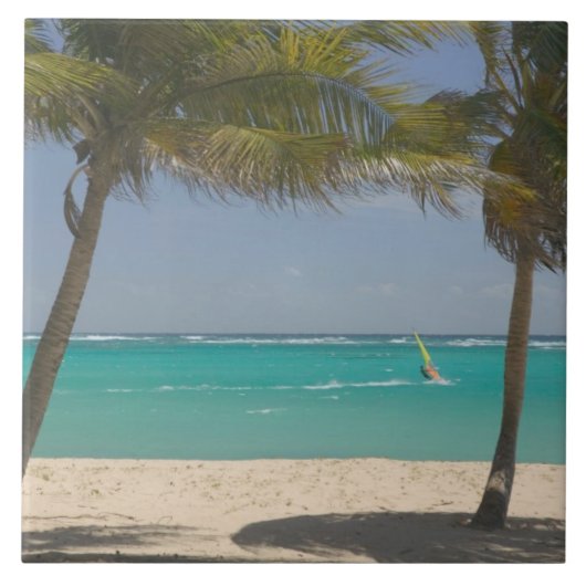 西フランスのインディ，グアダループ，マリー，ガランテ2 タイル (正面)