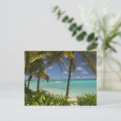 西フランスのインディ,グアダルーペ,グランデテール, 2 ポストカード (スタンド正面)