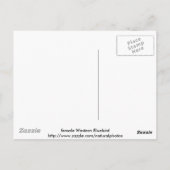 西ブルーバードのメス ポストカード (裏面)