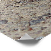 西ホイッテール ポスター (角)