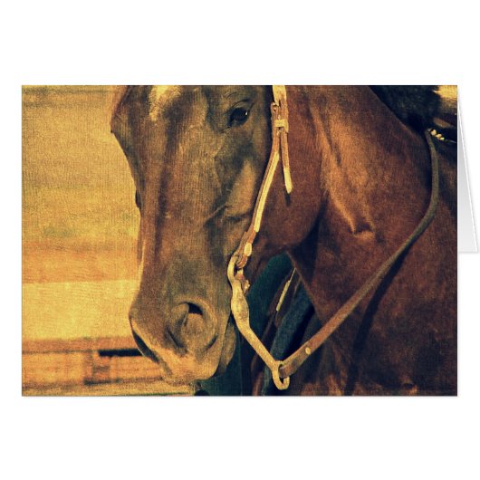 西ホース (正面横)