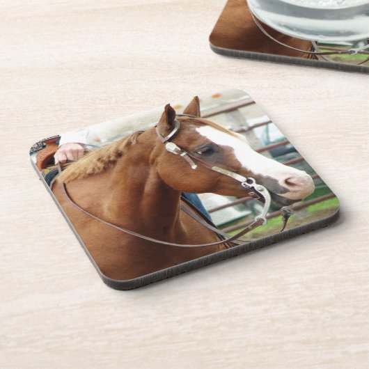 西ホース コースター (左側)