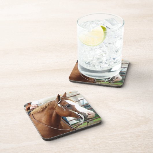 西ホース コースター (右側)