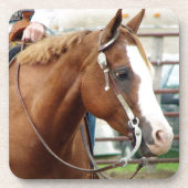 西ホース コースター (正面)