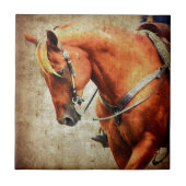 西ホース タイル (正面)