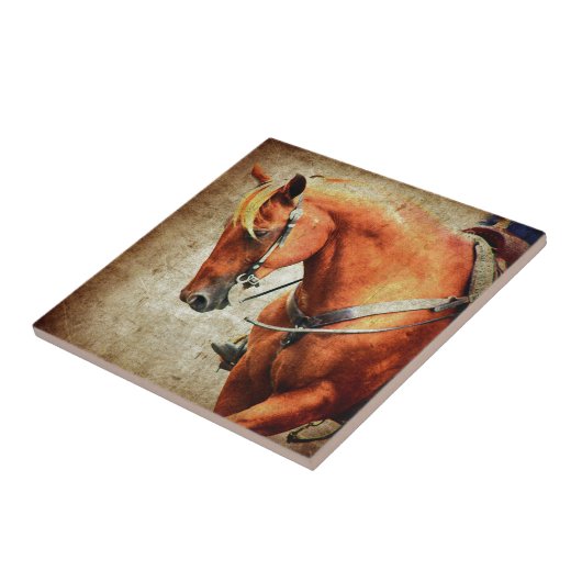 西ホース タイル (側面)