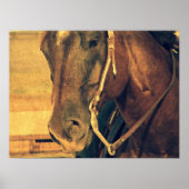 西ホース ポスター (正面)