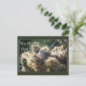 西ポストカードから移動 案内ポストカード (スタンド正面)