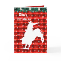 西ロデオカウボーイブルライディングプレイド