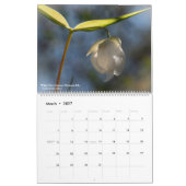 西ワイルドフラワーカレンダー カレンダー (3月 2027)