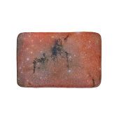 西側分子雲 バスマット (正面)