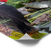 西側識別の裏庭の野生動物 ポスター (角)