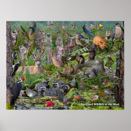 西側識別の裏庭の野生動物 ポスター