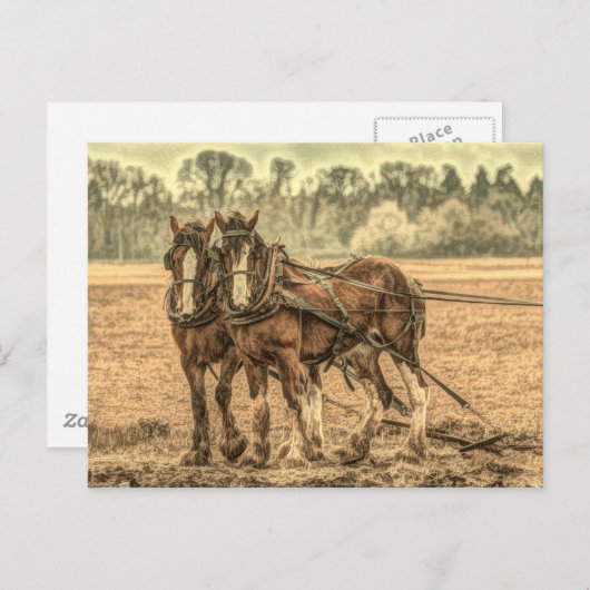 西初期の国農耕荷車を引く馬 ポストカード (正面/裏面)