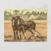 西初期の国農耕荷車を引く馬 ポストカード (正面)