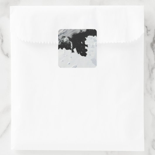 西南極の松島湾 スクエアシール (バッグ)