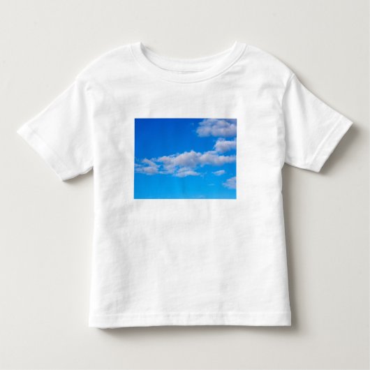 西南極の積雲 トドラーTシャツ (正面)