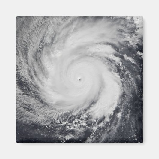 西太平洋海のFaxai マグネット (正面)