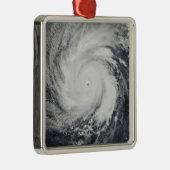 西太平洋海のFaxai メタルオーナメント (右)