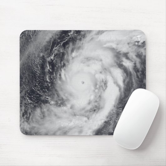 西太平洋海 マウスパッド (マウス)