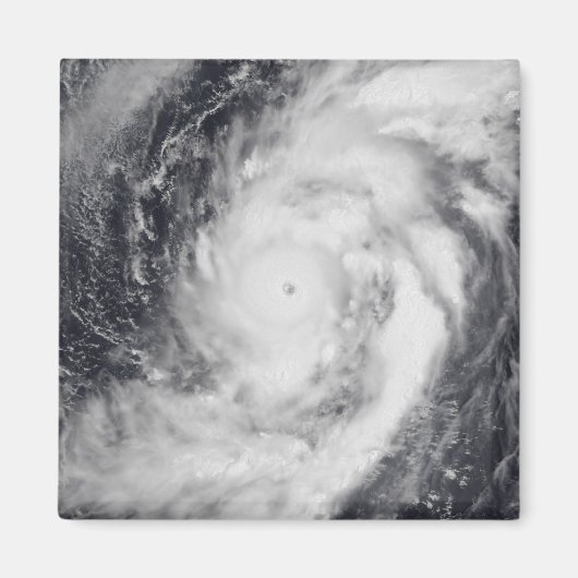 西太平洋海 マグネット (正面)