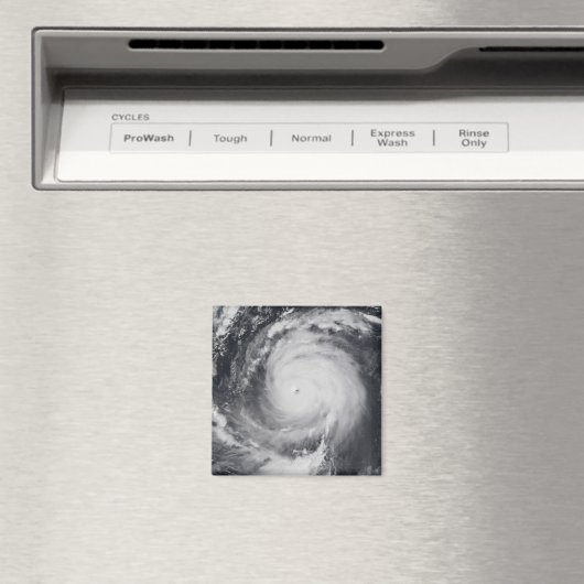 西太平洋海 マグネット (インサイチュ (食洗機))